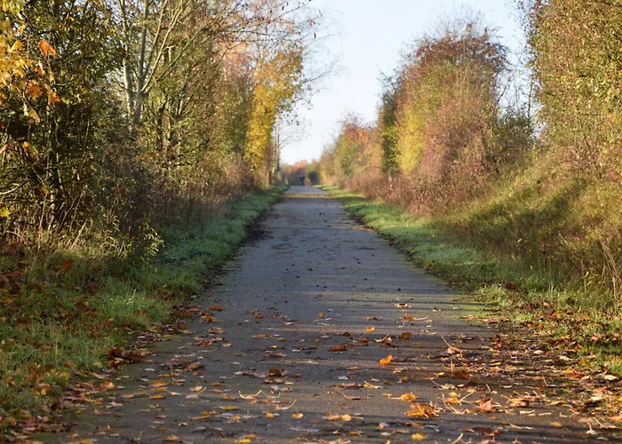 Pour Agreable Pause Au Parc ! *